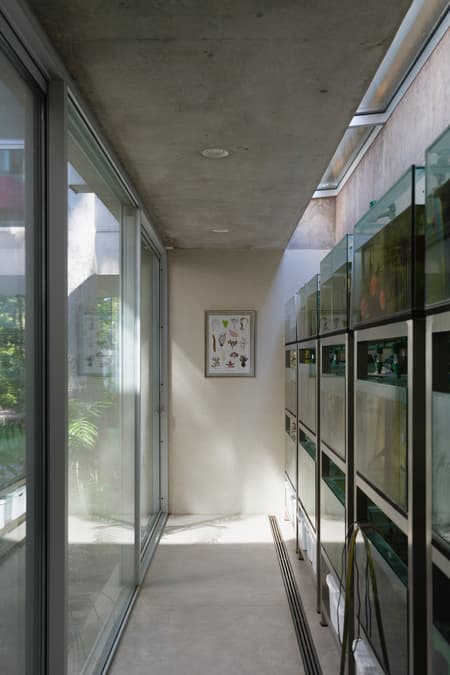 Eucalyptus House